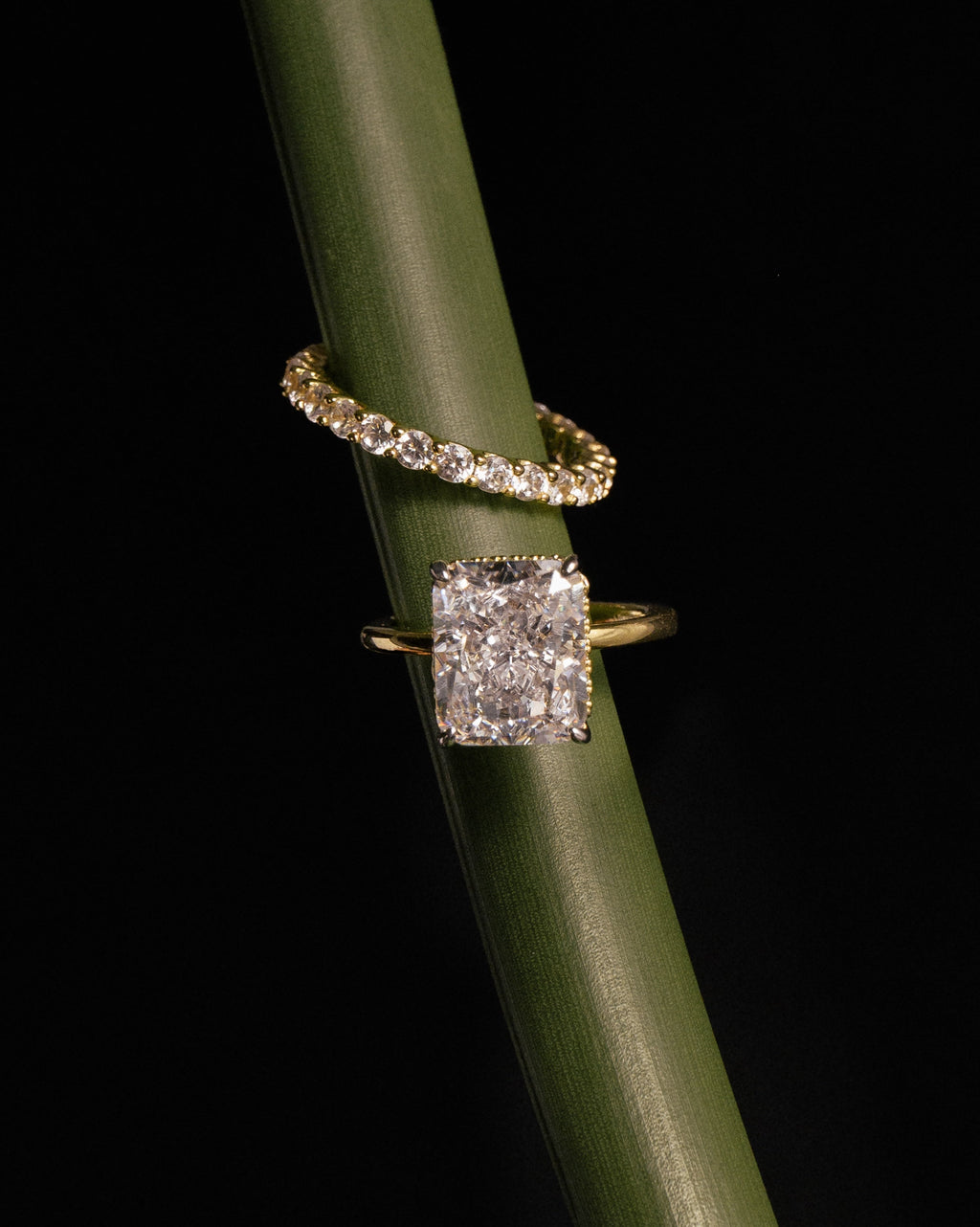 Elise Ring