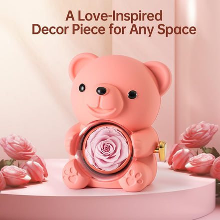 Rose Teddy Bear Jewelry Box